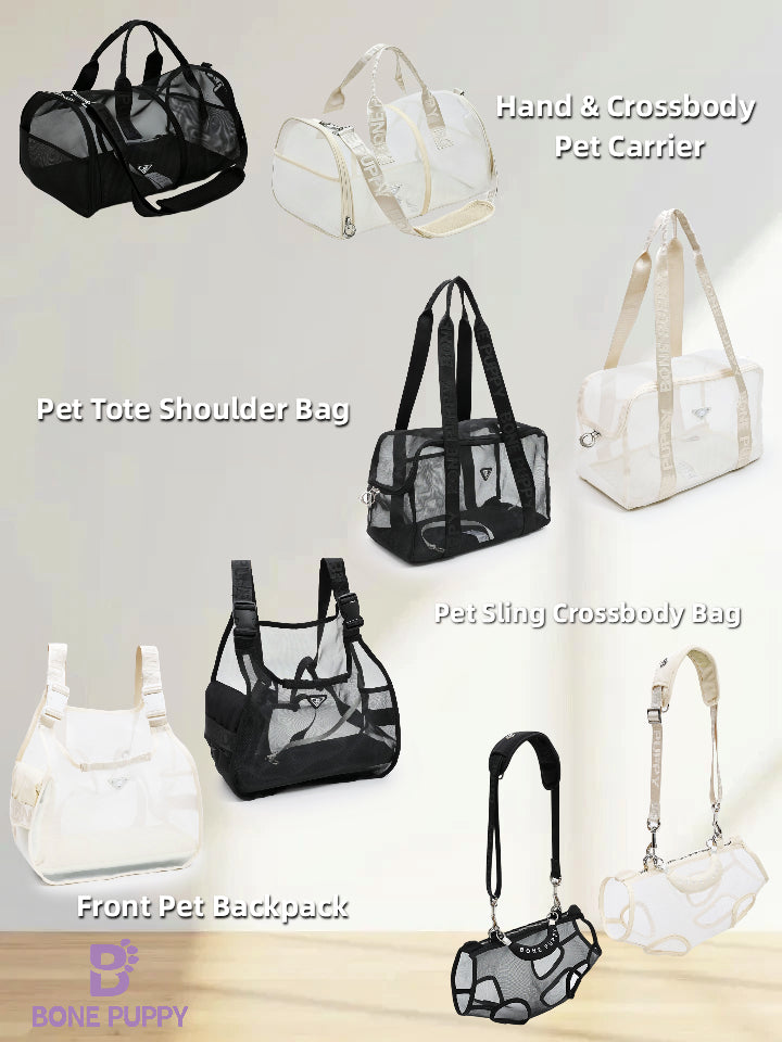 Day &amp; Night Pet Collection