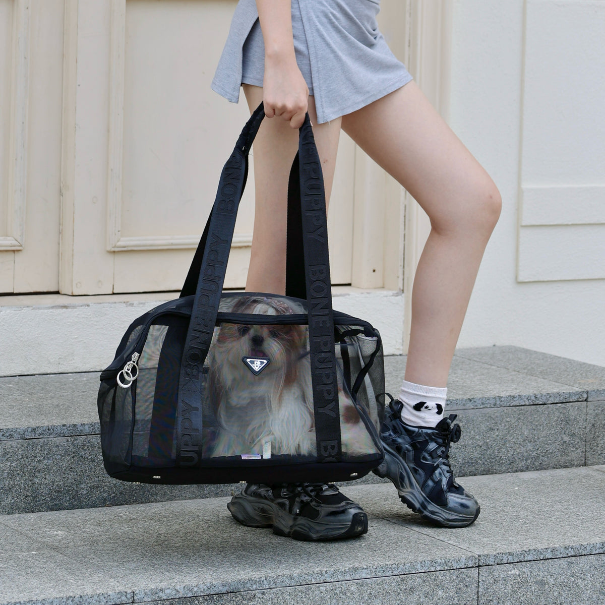 Minimal Full‑Mesh Pet Tote Carrier Bag