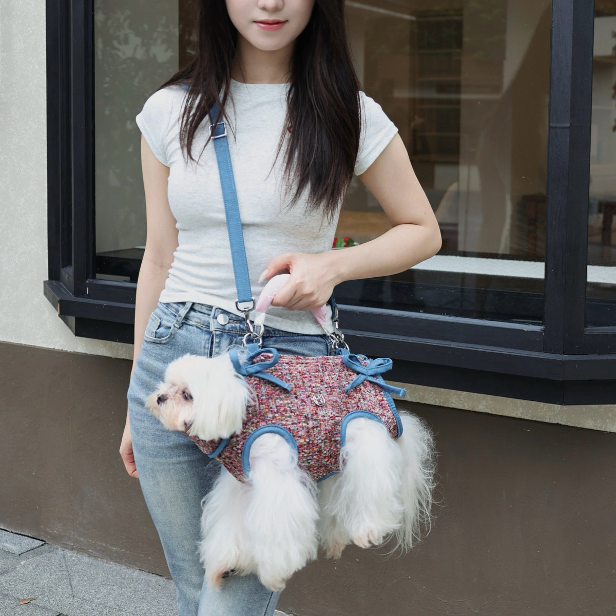 Monet  Pet Crossbody Carrier