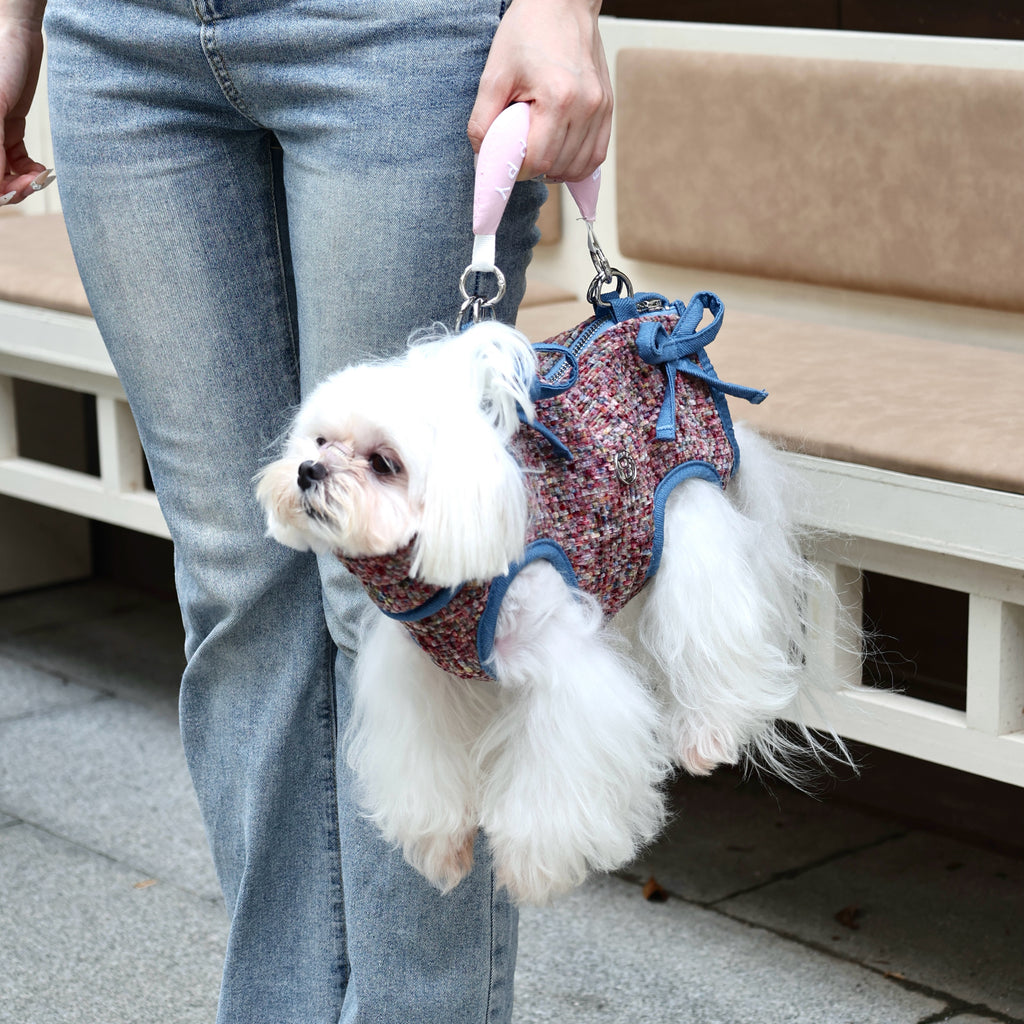Monet  Pet Crossbody Carrier